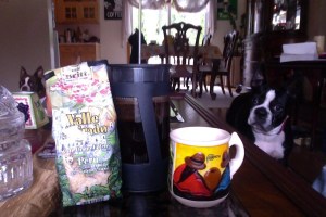 Photo on 11-26-13 at 12.29 PM