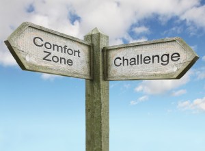 Comfort Zone/ Challenge Sign Concept